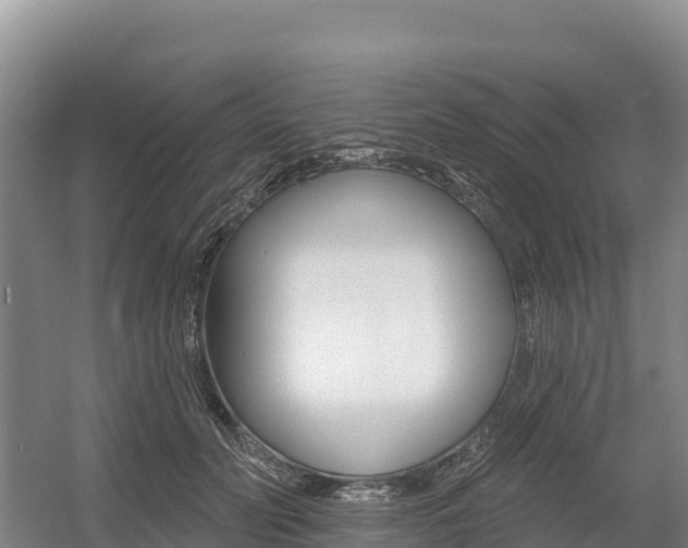 X0000055990606200508190757