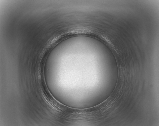 X0000055990631200508190756