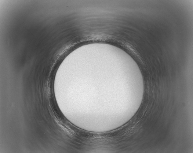 X0000055990632200508190756