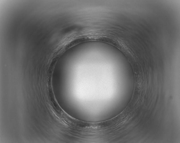 X0000055990639200508190756