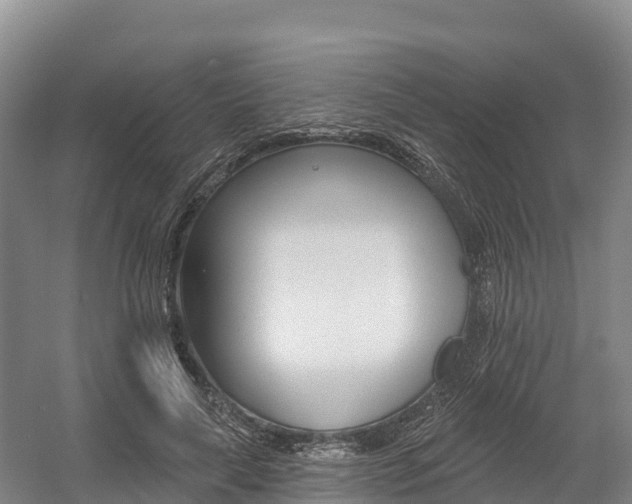 X0000055990643200508190756