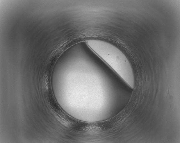 X0000055990644200508190756