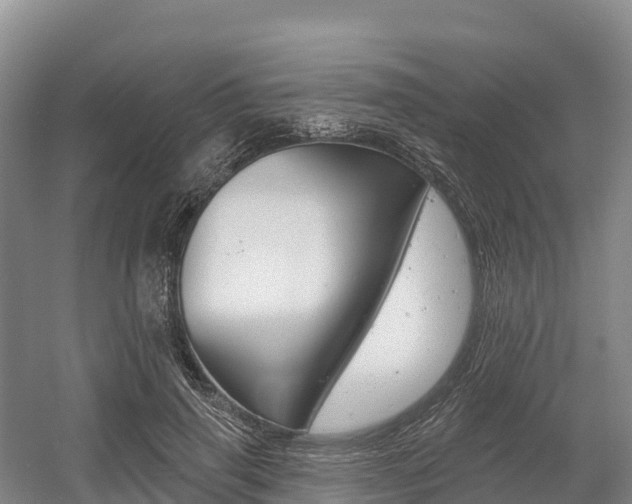 X0000055990645200508190756