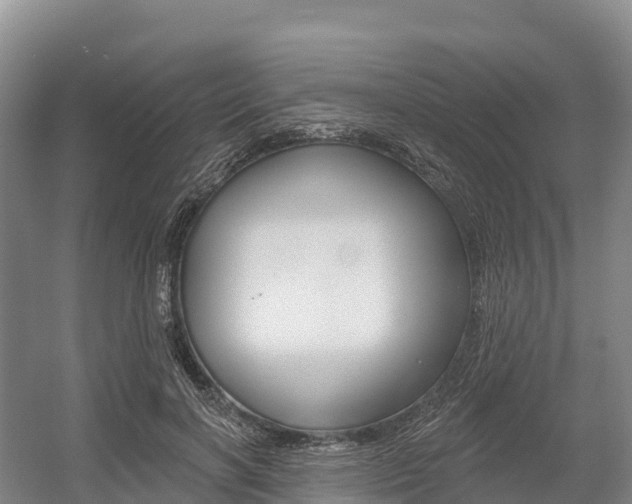 X0000055990646200508190756