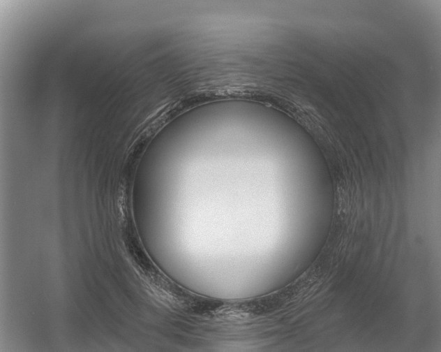 X0000055990648200508190756