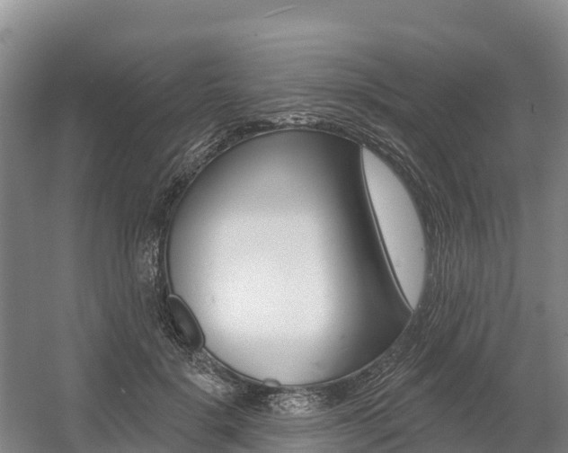 X0000055990652200508190756