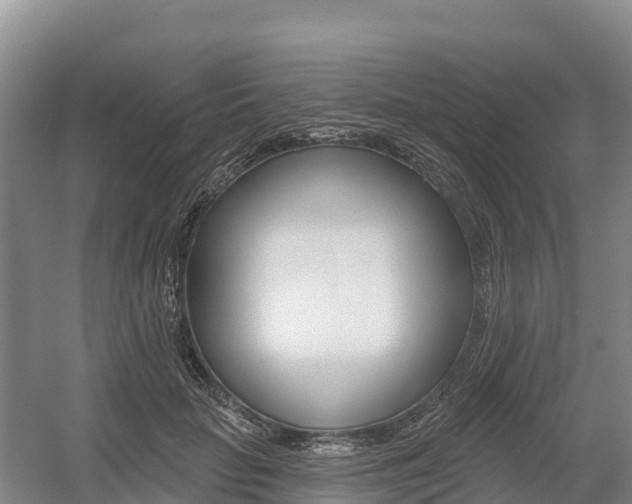 X0000055990653200508190756