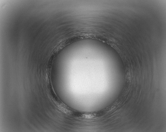 X0000055990662200508190757