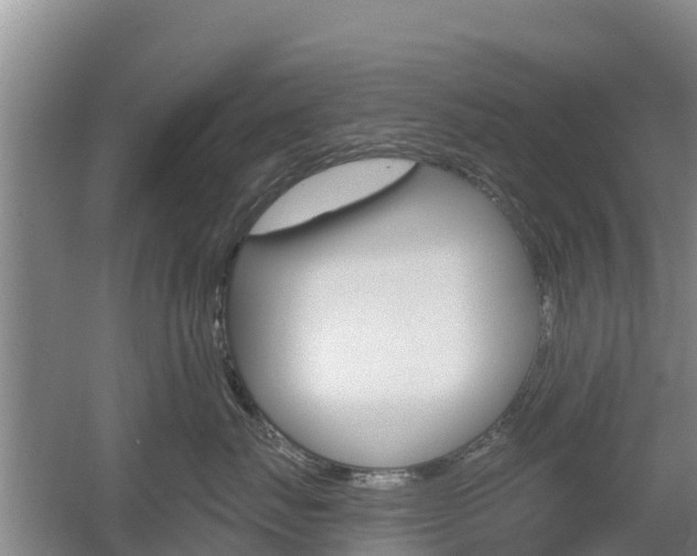 X0000055990671200508190757