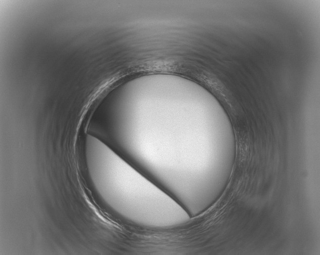 X0000055990674200508190756