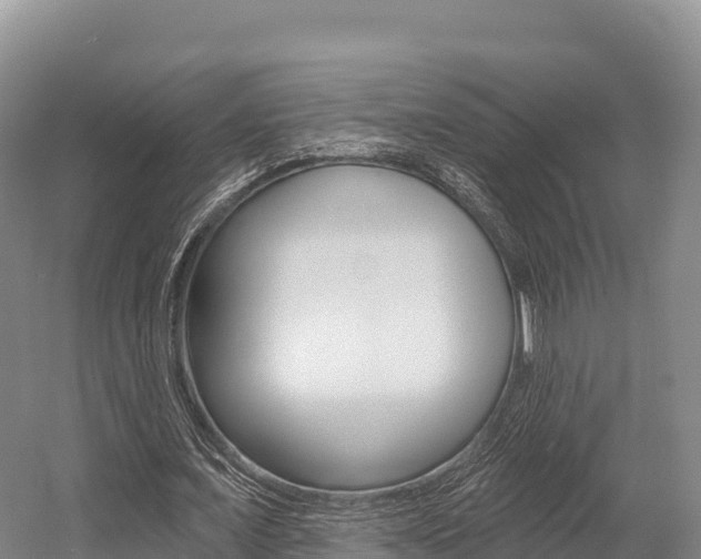 X0000055990675200508190756