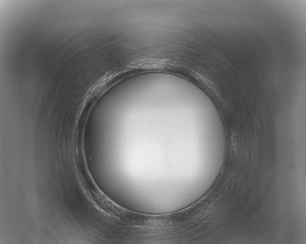 X0000055990682200508190756
