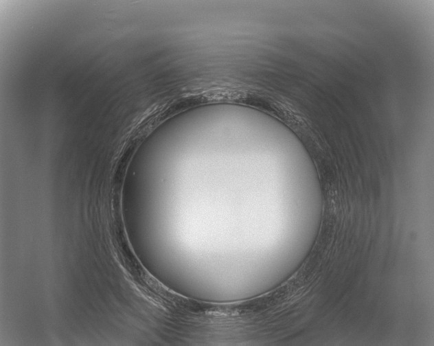 X0000055990690200508190756