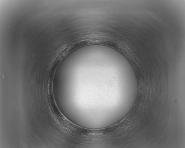 X0000055990694200508190756