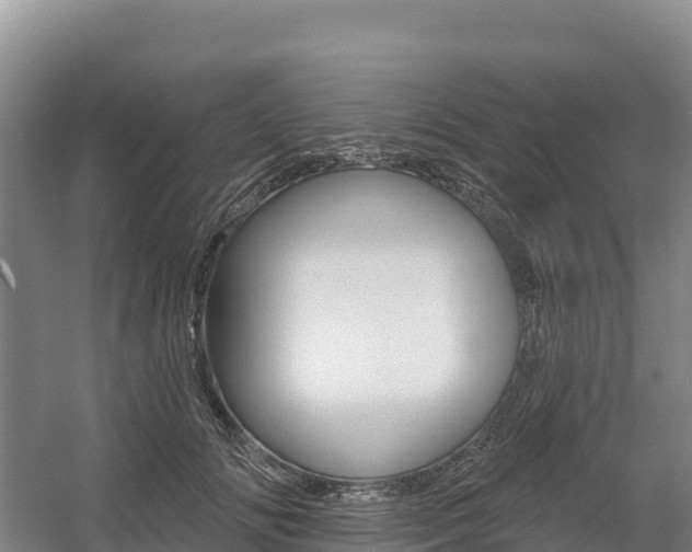 X0000055990702200508190755