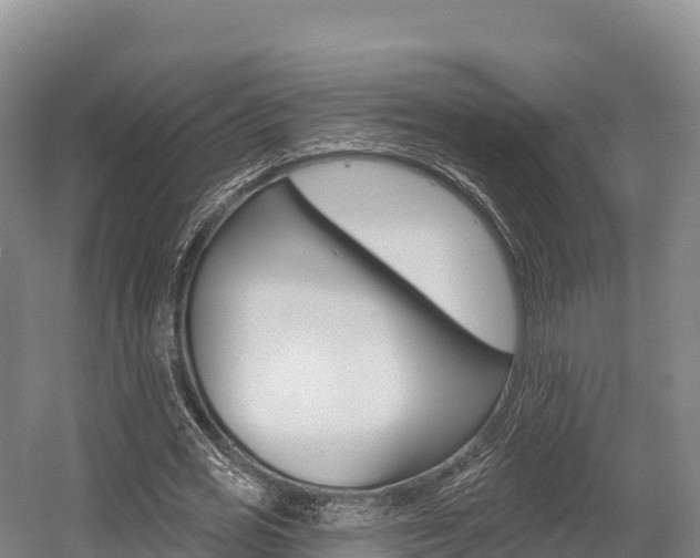 X0000055990725200508190754