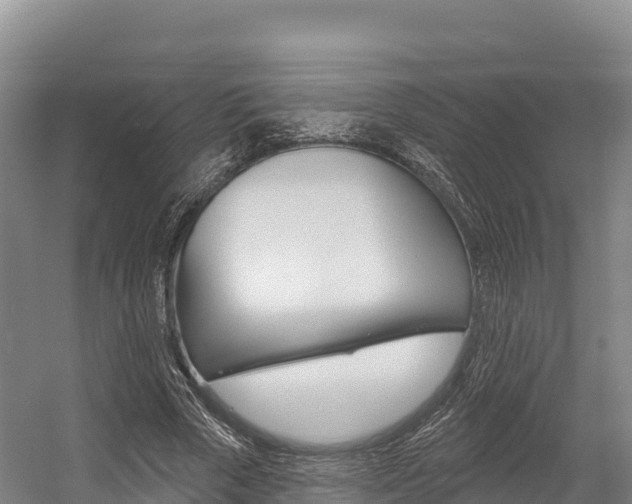 X0000055990729200508190754