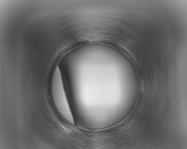 X0000055990733200508190755