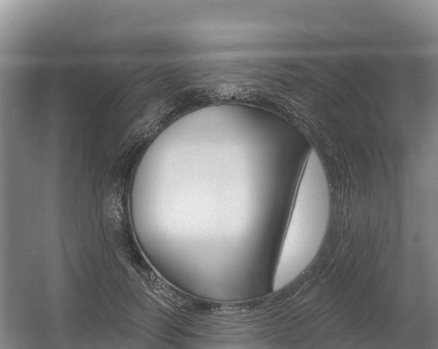 X0000055990746200508190755