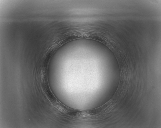 X0000055990747200508190755