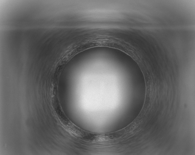 X0000055990750200508190755