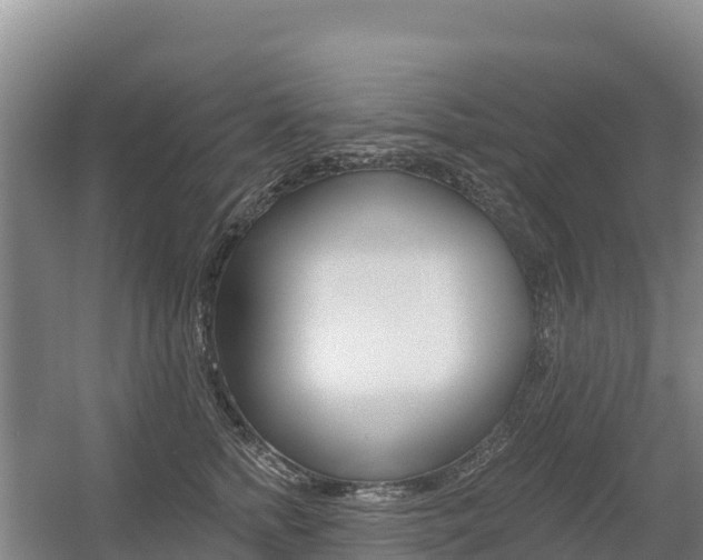 X0000055990758200508190755