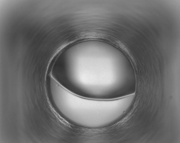 X0000055990787200508190754