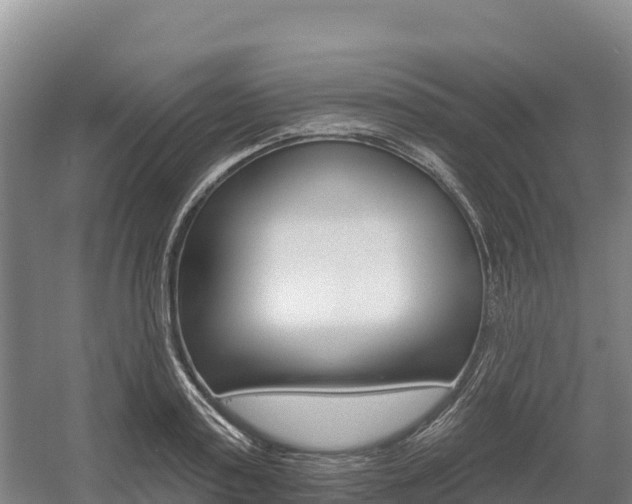 X0000055990795200508190754