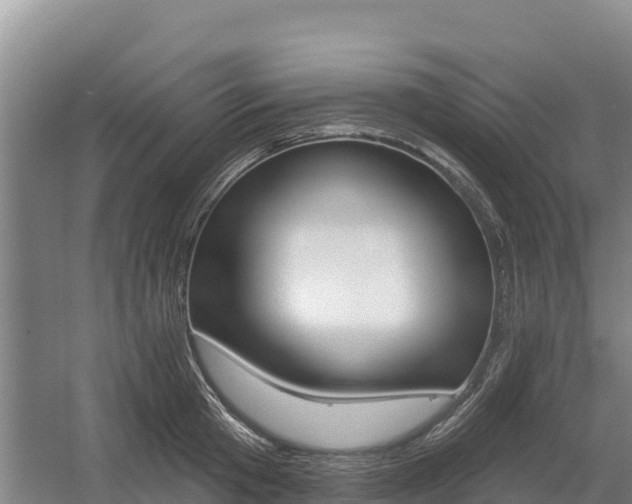 X0000055990801200508190754