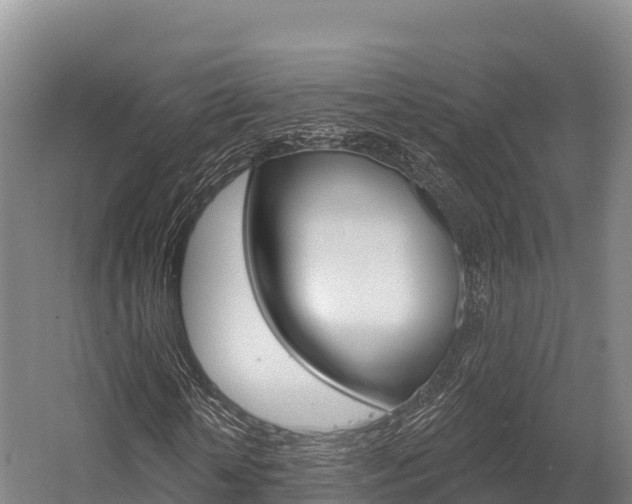 X0000055990818200508190753