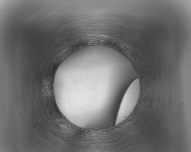 X0000055990819200508190753