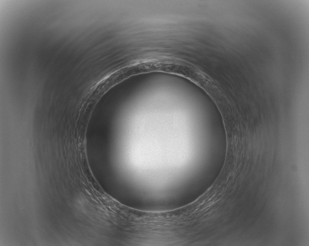 X0000055990822200508190753