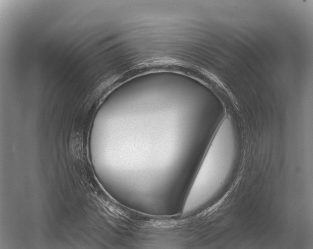 X0000055990825200508190753