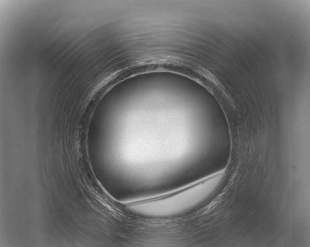 X0000055990826200508190753