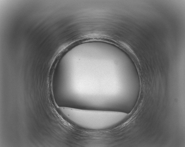 X0000055990831200508190753