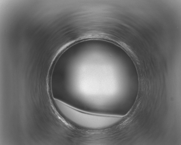 X0000055990846200508190753