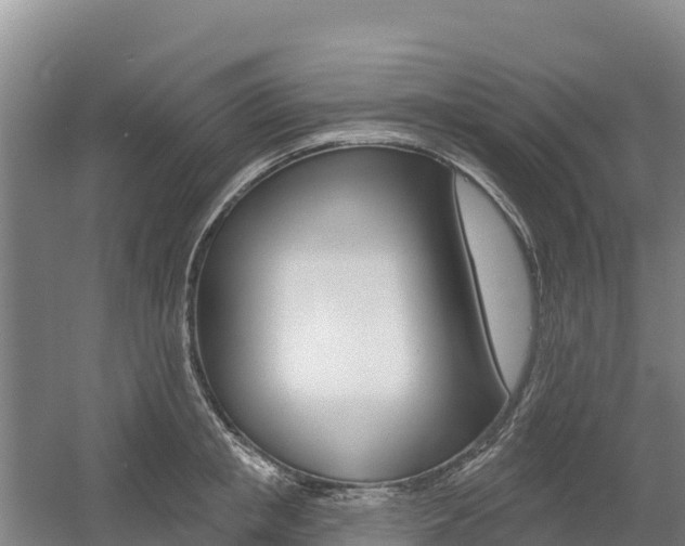 X0000055990853200508190753