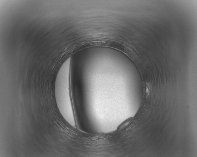 X0000055990867200508190753