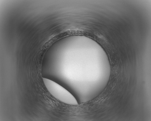 X0000055990870200508190753