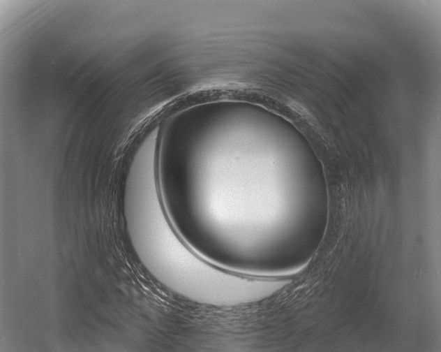X0000055990872200508190753