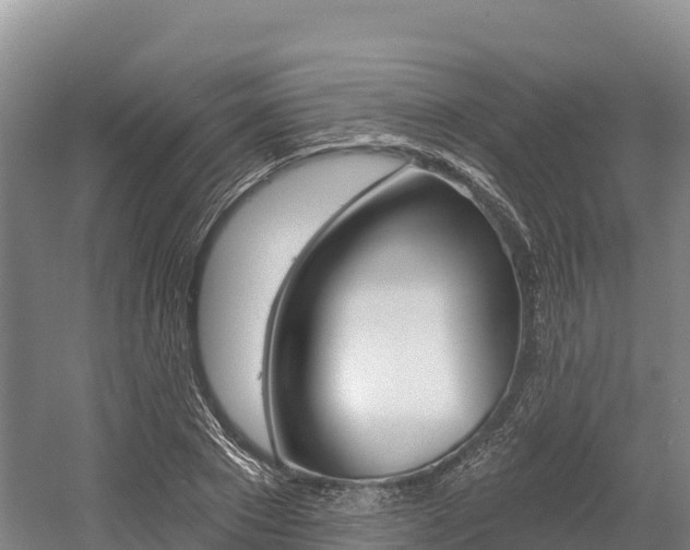 X0000055990881200508190752