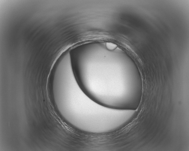 X0000055990883200508190752
