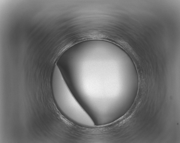 X0000055990889200508190752