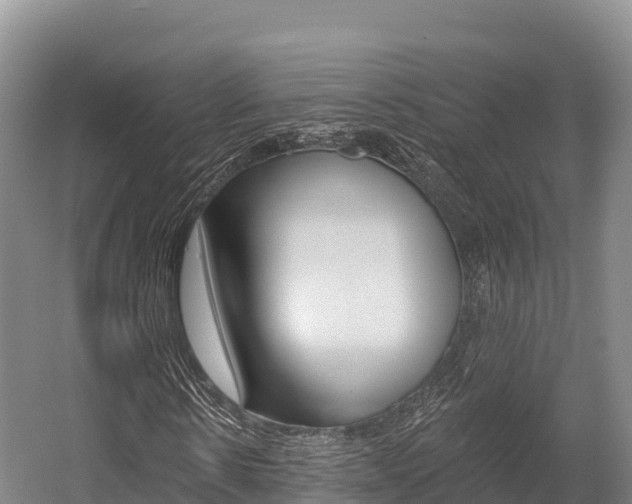 X0000055990914200508190751