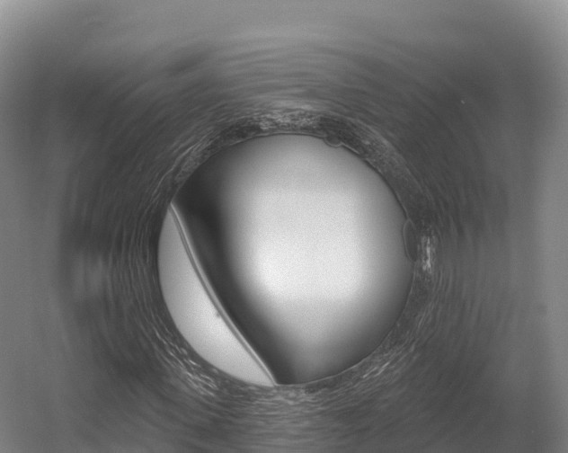 X0000055990915200508190751