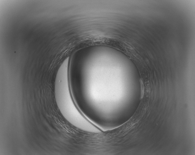 X0000055990916200508190751