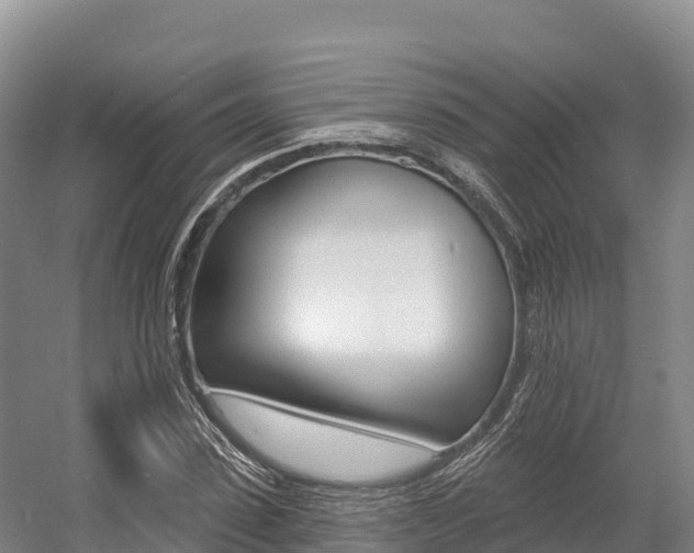 X0000055990923200508190751