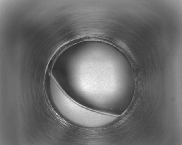 X0000055990924200508190751