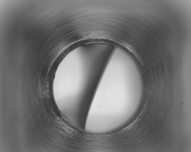 X0000055990926200508190751