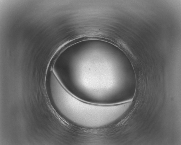 X0000055990932200508190751